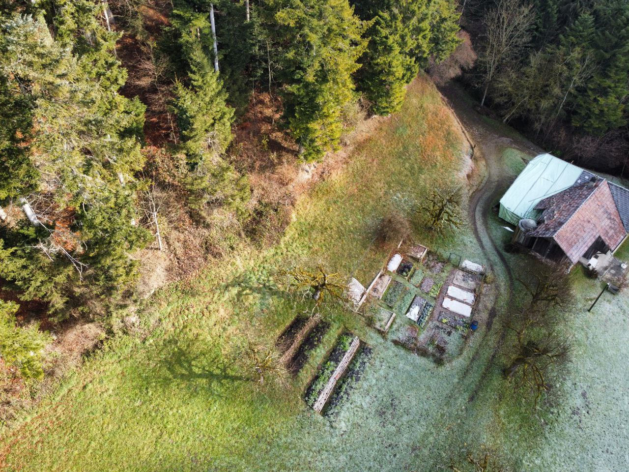 Schniggenen von Oben